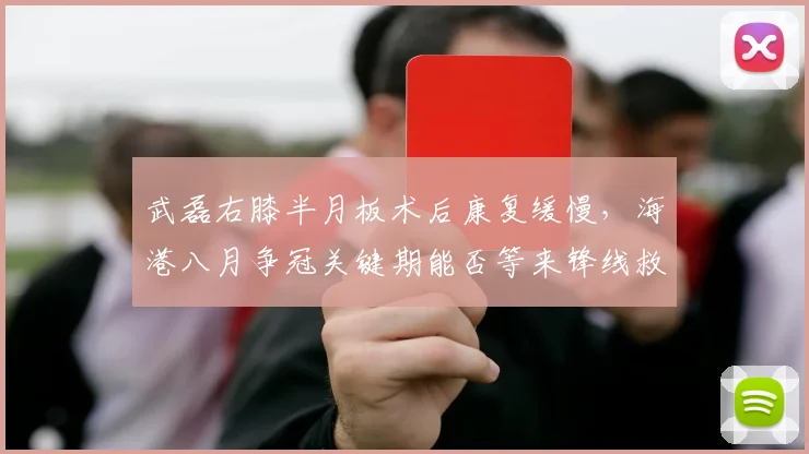 武磊右膝半月板术后康复缓慢,海港八月争冠关键期能否等来锋线救星?